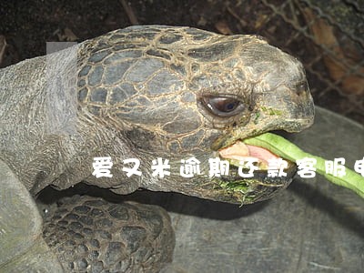 爱又米逾期还款客服电话 爱又米逾期还款客服电话