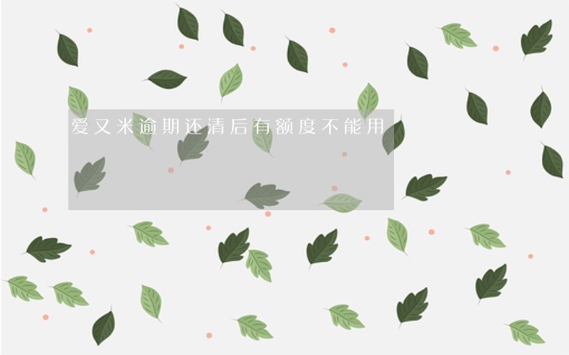 爱又米逾期还清后有额度不能用