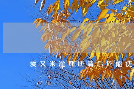 爱又米逾期还清后还能使用吗