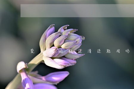 爱又米逾期还清还能用吗