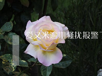 爱又米逾期骚扰报警了 爱又米逾期骚扰报警了