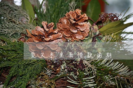 爱又米里面借款逾期 爱又米里面借款逾期