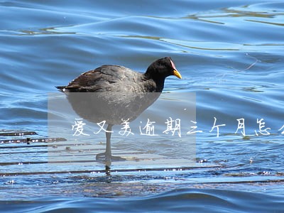 爱又美逾期三个月怎么办 爱又美逾期三个月怎么办