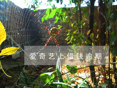 爱奇艺上借钱逾期 爱奇艺上借钱逾期
