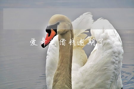 爱奇艺借钱逾期了 爱奇艺借钱逾期了