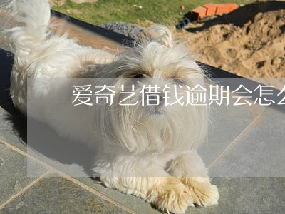 爱奇艺借钱逾期会怎么样