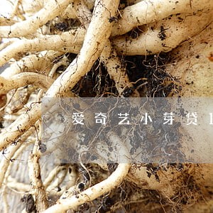 爱奇艺小芽贷1w逾期一年 爱奇艺小芽贷1w逾期一年