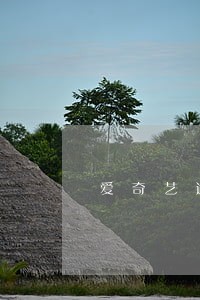 爱奇艺逾期人名单