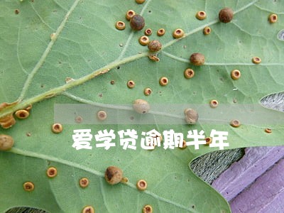 爱学贷逾期半年 爱学贷逾期半年