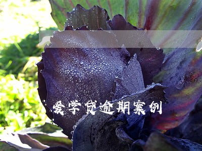爱学贷逾期案例 爱学贷逾期案例