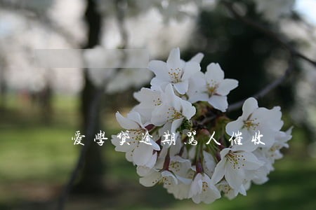 爱学贷逾期骂人催收 爱学贷逾期骂人催收