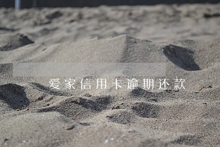 爱家信用卡逾期还款
