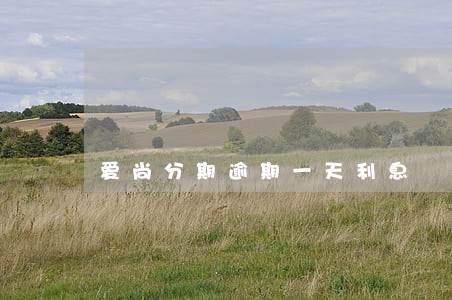 爱尚分期逾期一天利息