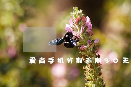 爱尚手机分期逾期30天 爱尚手机分期逾期30天