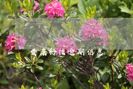 爱康科技逾期信息 爱康科技逾期信息