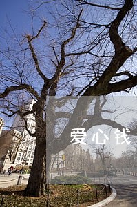 爱心钱包逾期一个月 爱心钱包逾期一个月