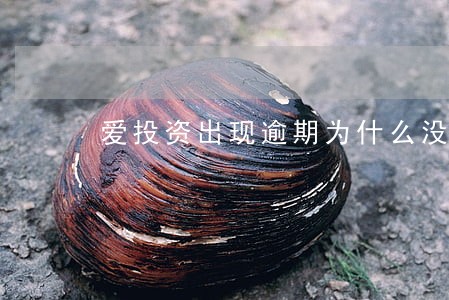 爱投资出现逾期为什么没立案 爱投资出现逾期为什么没立案