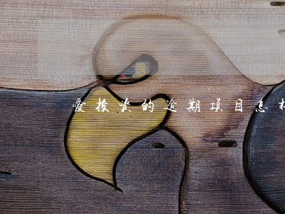 爱投资的逾期项目怎样解决 爱投资的逾期项目怎样解决