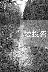 爱投资逾期企业明细表 爱投资逾期企业明细表