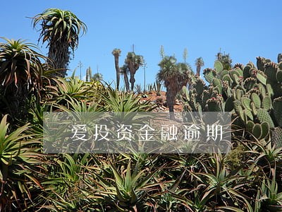 爱投资金融逾期 爱投资金融逾期