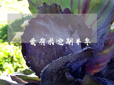 爱有米逾期半年 爱有米逾期半年
