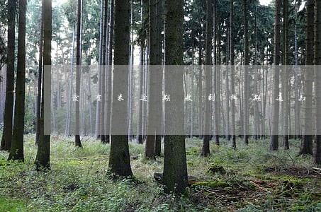 爱有米逾期收到排期通知 爱有米逾期收到排期通知