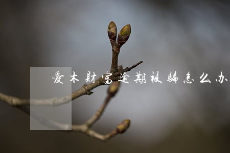爱木财富逾期被骗怎么办 爱木财富逾期被骗怎么办