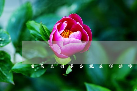 爱民区刑事合规在线律师