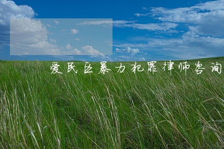 爱民区暴力犯罪律师咨询电话