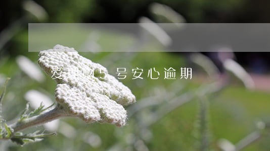 爱理财5号安心逾期 爱理财5号安心逾期