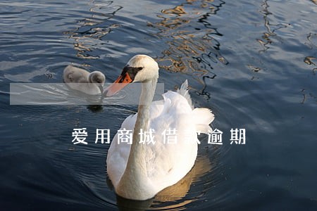 爱用商城借款逾期 爱用商城借款逾期