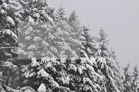 爱用商城恶意逾期 爱用商城恶意逾期