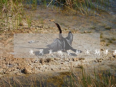 爱用商城贷款逾期爆通讯录 爱用商城贷款逾期爆通讯录