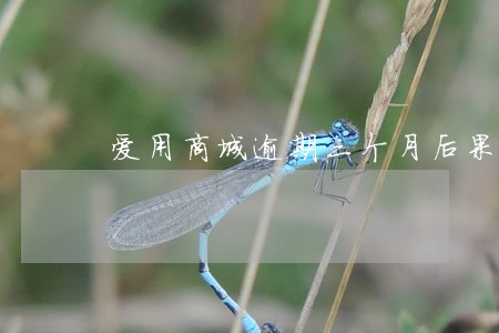 爱用商城逾期三个月后果严重吗 爱用商城逾期三个月后果严重吗