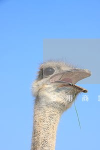 爱用商城逾期了发了短信 爱用商城逾期了发了短信