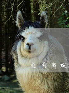 爱用商城逾期半年 爱用商城逾期半年