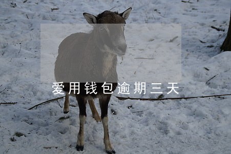 爱用钱包逾期三天 爱用钱包逾期三天