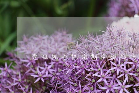 爱租机手机逾期会被锁吗 爱租机手机逾期会被锁吗