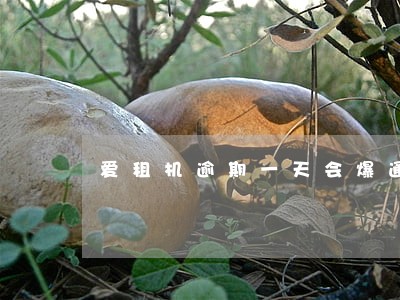 爱租机逾期一天会爆通讯录吗 爱租机逾期一天会爆通讯录吗