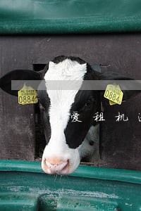 爱租机逾期三个月 爱租机逾期三个月