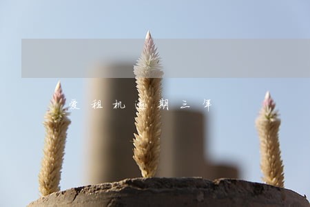 爱租机逾期三年 爱租机逾期三年