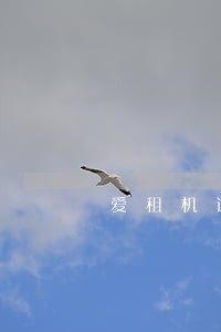 爱租机逾期上门么 爱租机逾期上门么