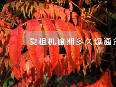 爱租机逾期多久爆通讯录 爱租机逾期多久爆通讯录