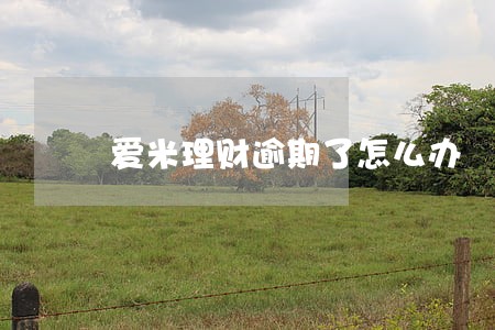 爱米理财逾期了怎么办 爱米理财逾期了怎么办