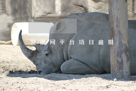 爱融网平台项目逾期 爱融网平台项目逾期