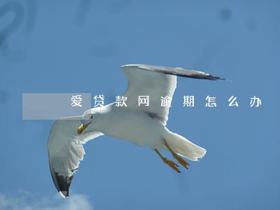 爱贷款网逾期怎么办 爱贷款网逾期怎么办