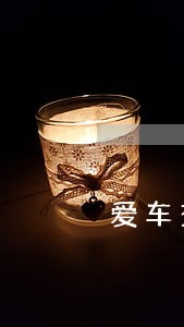 爱车交通违法 爱车交通违法