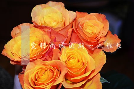 爱转商城逾期一天催收 爱转商城逾期一天催收