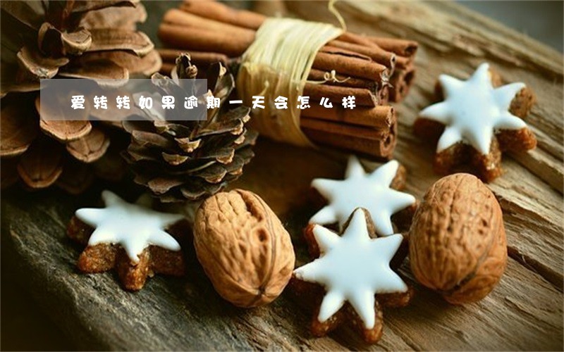 爱转转如果逾期一天会怎么样 爱转转如果逾期一天会怎么样