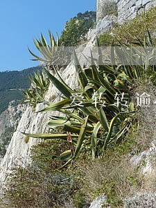 爱转转逾期一天会怎样 爱转转逾期一天会怎样